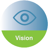 Vision