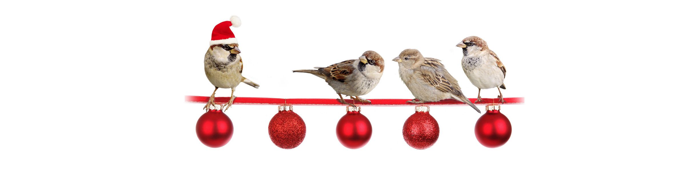 Frohe Weihnachten